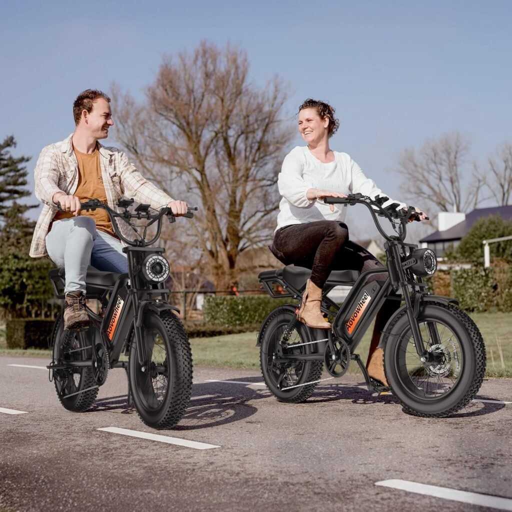 Aovowheel electric bike rear seat and frame design